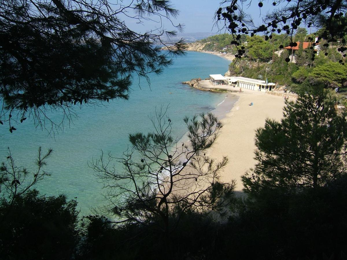Anna'S Studios Argostoli  Eksteriør billede
