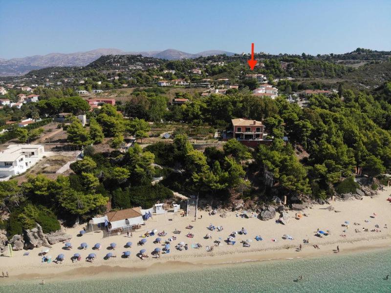 Anna'S Studios Argostoli  Eksteriør billede